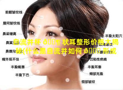 自流井杯 🐶 状耳整形价格大揭秘(什么是自流井如何 🐞 形成的)